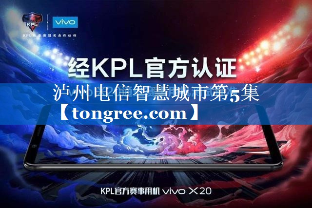 泸州电信智慧城市第5集
