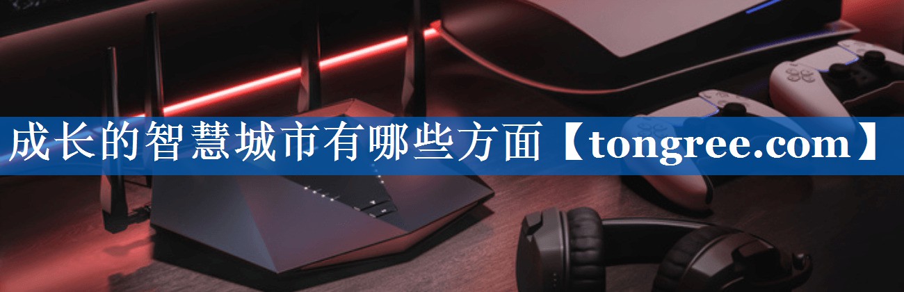 成长的智慧城市有哪些方面