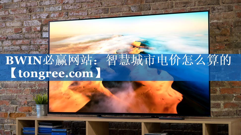 智慧城市电价怎么算的