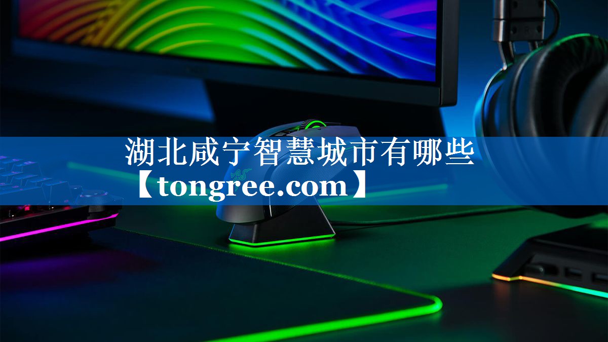 湖北咸宁智慧城市有哪些 湖北咸宁智慧城市有哪些