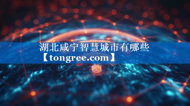 湖北咸宁智慧城市有哪些 湖北咸宁智慧城市有哪些