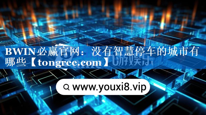 BWIN必赢官网：没有智慧停车的城市有哪些