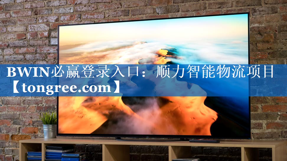 BWIN必赢登录入口：顺力智能物流项目