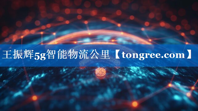 王振辉5g智能物流公里