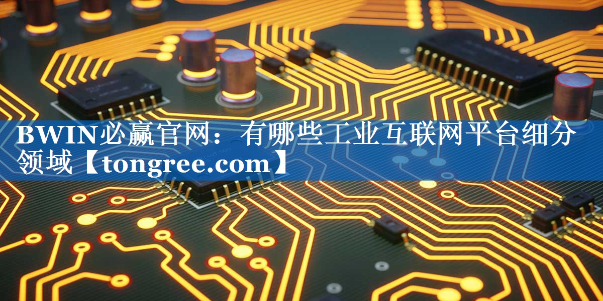 BWIN必赢官网：有哪些工业互联网平台细分领域
