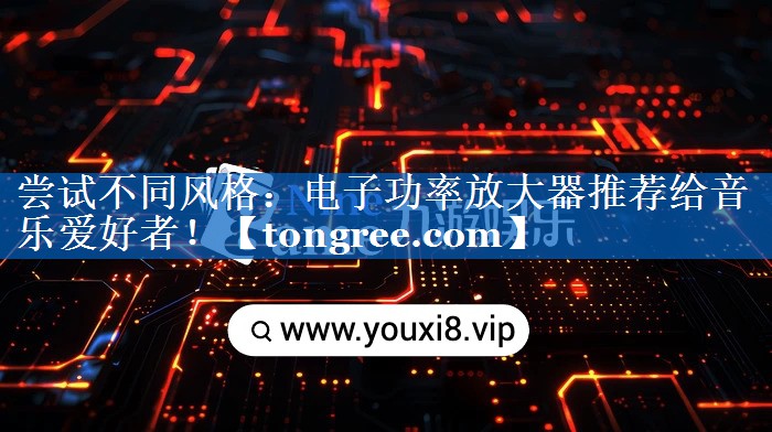 尝试不同风格:电子功率放大器推荐给音乐爱好者! 尝试不同风格:电子功率放大器推荐给音乐爱好者!