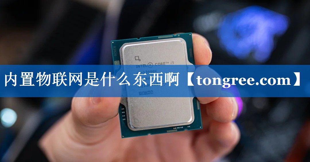 内置物联网是什么东西啊 内置物联网是什么东西啊