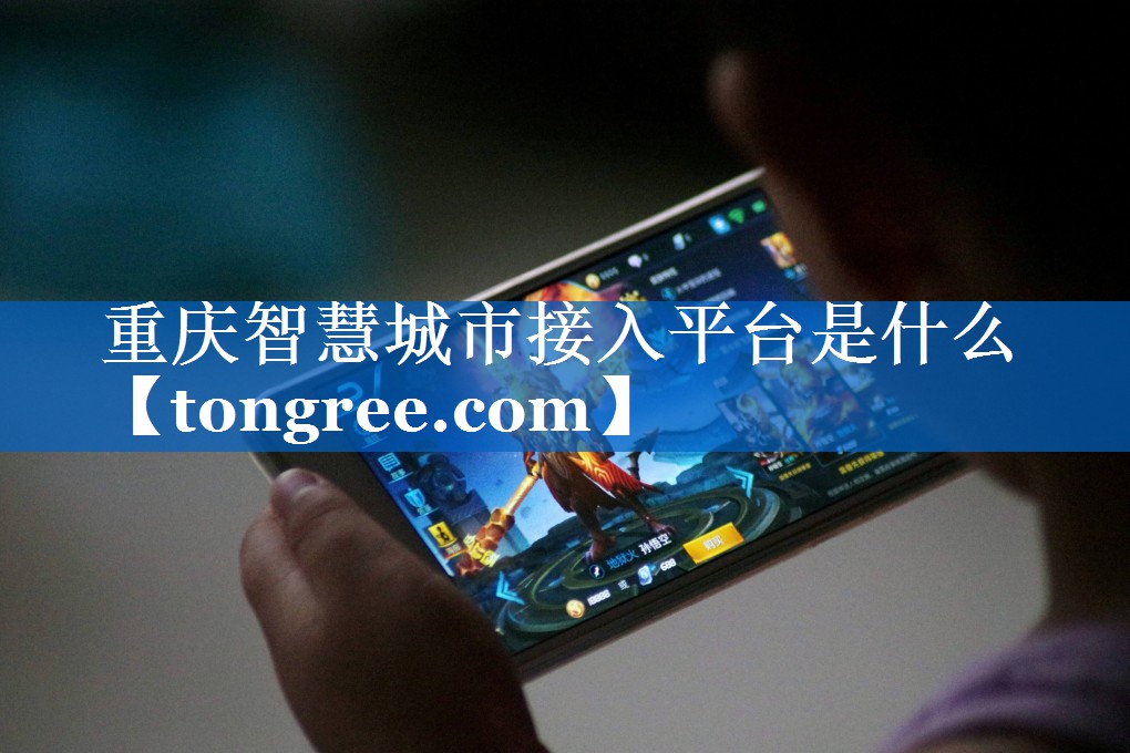 重庆智慧城市接入平台是什么 重庆智慧城市接入平台是什么
